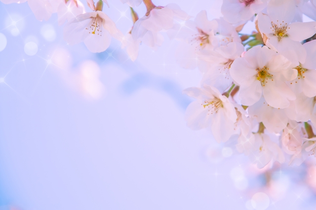 ふわふわキラキラ桜のフレーム